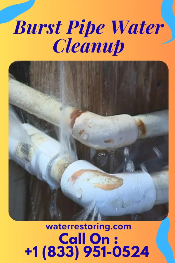 Burst Pipe Water Cleanup in Lohrville, WI