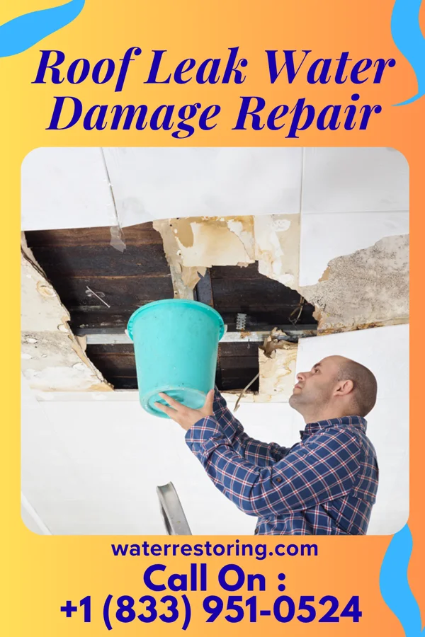 Roof Leak Water Damage Repair in Lohrville, WI