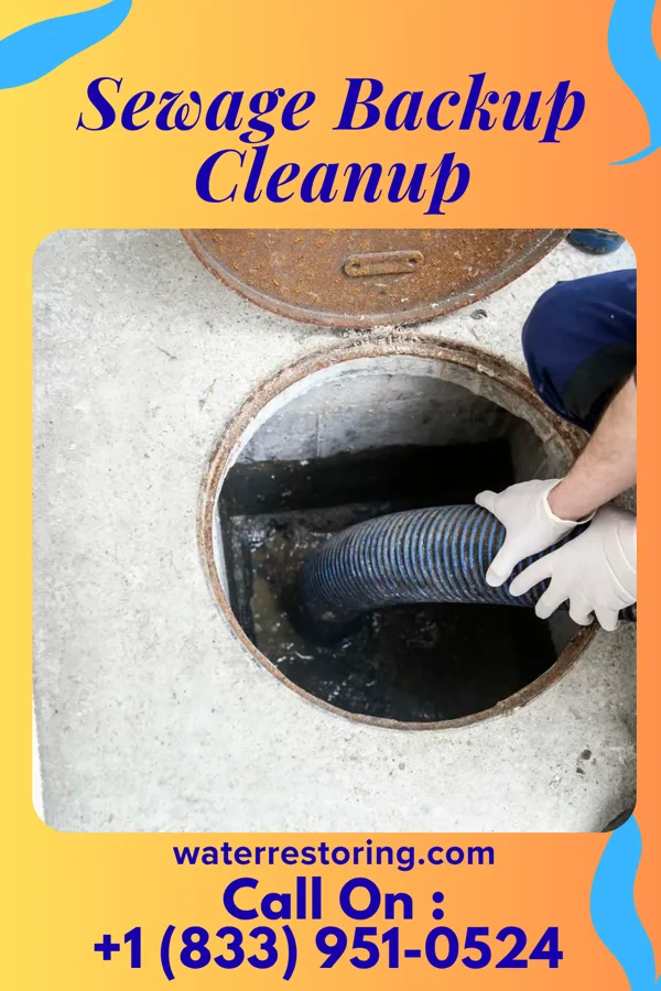 Sewage Backup Cleanup in Lohrville, WI