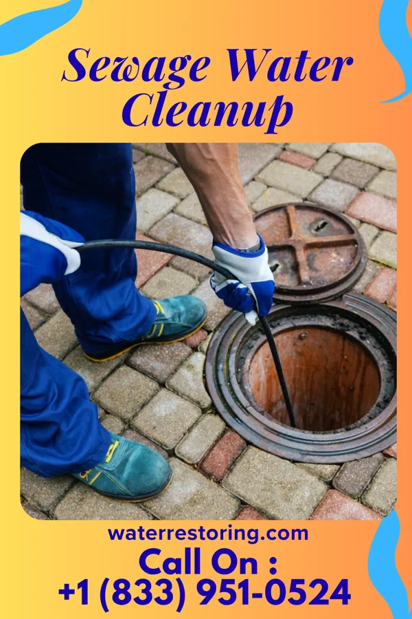 Sewage Water Cleanup in Lohrville, WI