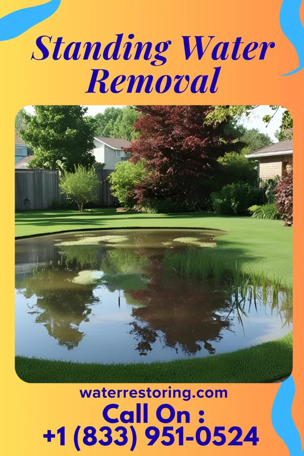 Standing Water Removal in Lohrville, WI